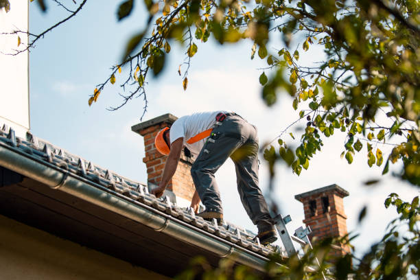 Best Residential Roofing Contractor  in Black Hammock, FL