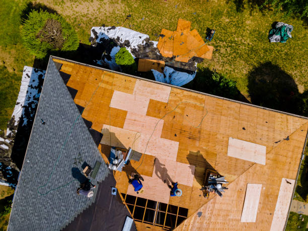 Best Roof Waterproofing Services  in Black Hammock, FL