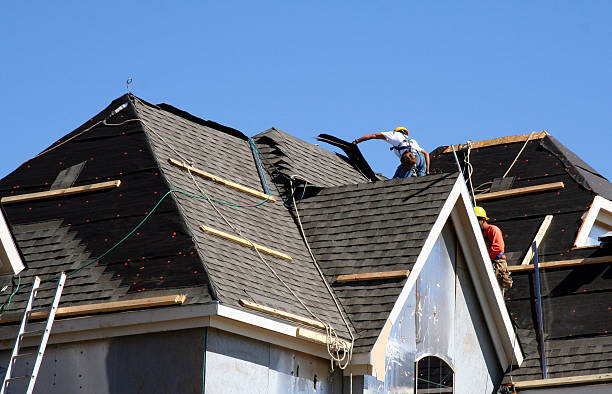 Best Roof Gutter Cleaning  in Black Hammock, FL