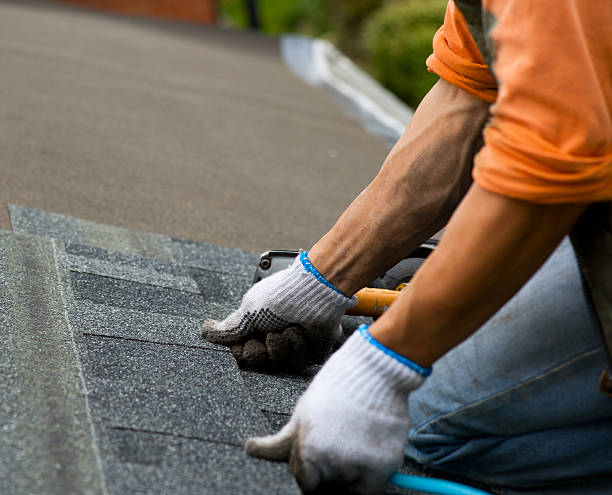 Best Commercial Roofing Services  in Black Hammock, FL