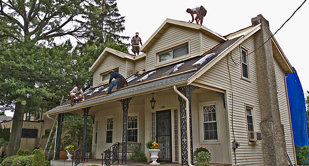 Quick and Trustworthy Emergency Roof Repair Services in Black Hammock, FL